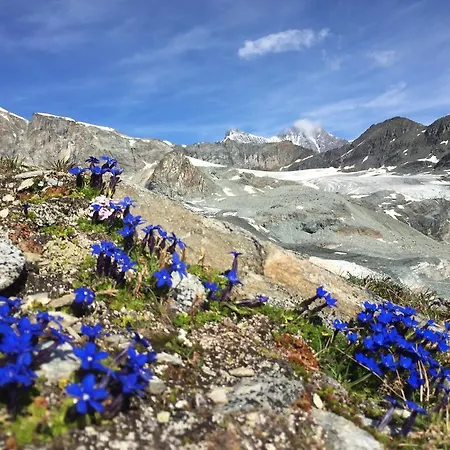 Hotel Elite Alpine - & Breakfast Saas Fee