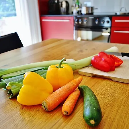 Elite Alpine - & Breakfast Saas-Fee