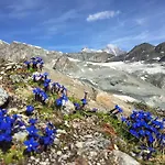 Hotel Elite Alpine Saas Fee