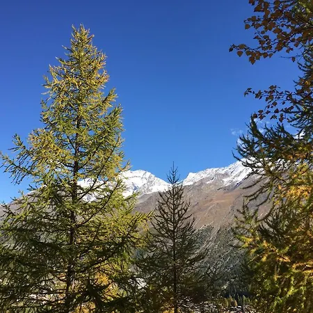 Ξενοδοχείο Elite Alpine - & Breakfast 4*